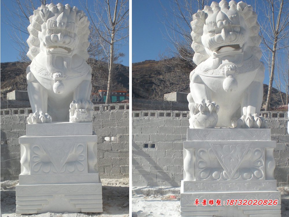 3米高石頭獅子，石雕獅子雕塑