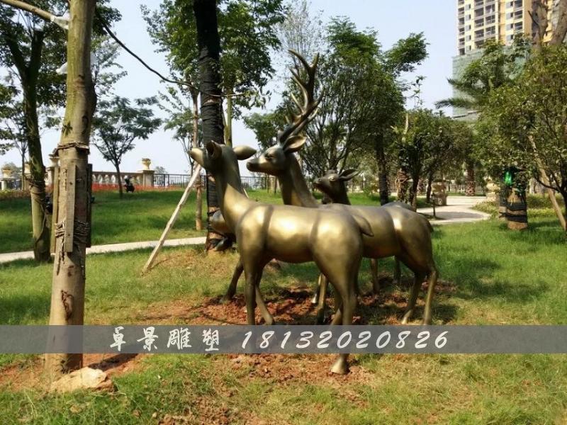 梅花鹿銅雕，公園動(dòng)物銅雕 (2)