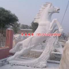 石雕馬，漢白玉馬雕塑，馬踏祥云石雕