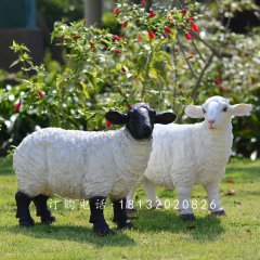 玻璃鋼仿真綿羊，玻璃鋼仿真綿羊雕塑