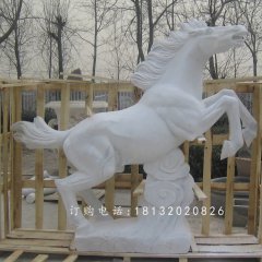 漢白玉石雕馬，廣場石馬雕塑