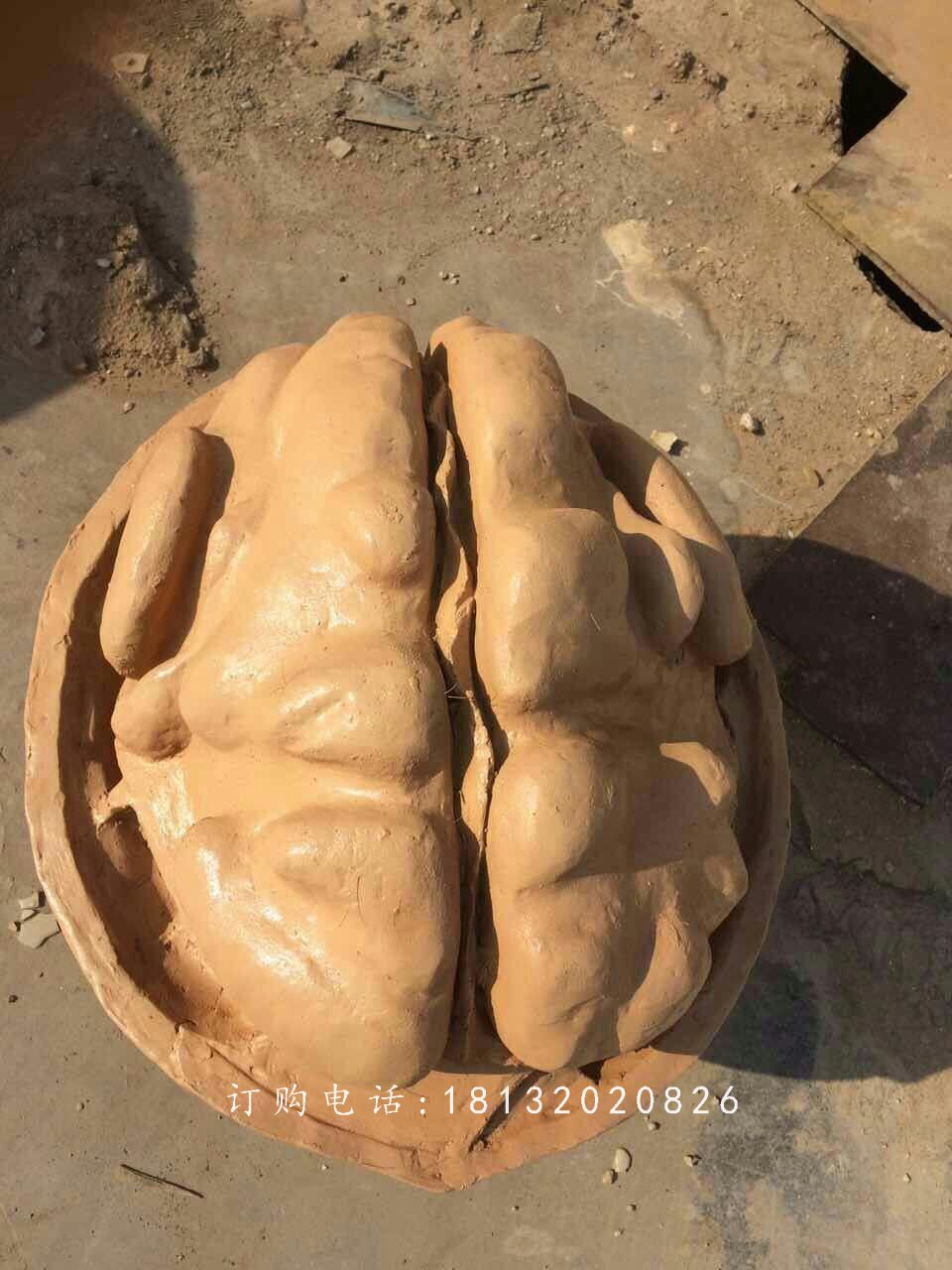 核桃雕塑，仿真玻璃鋼雕塑 (2)