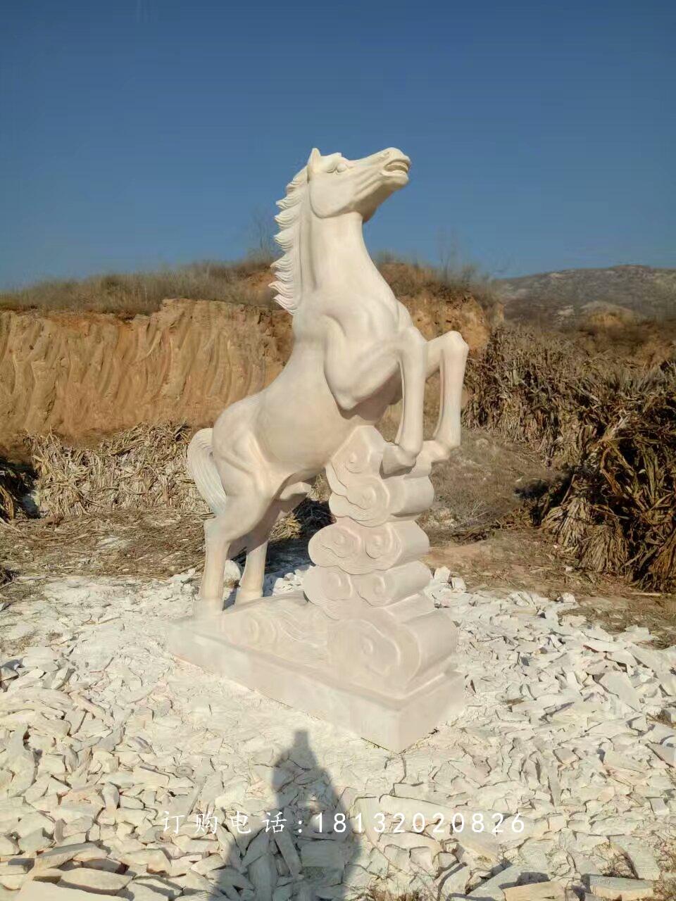 馬踏祥云石雕，廣場(chǎng)石雕馬 (2)