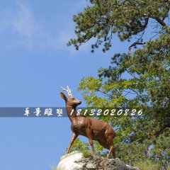 小鹿雕塑，玻璃鋼仿真動(dòng)物
