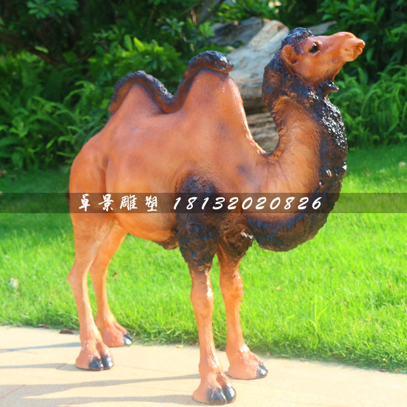 駱駝雕塑，動物玻璃鋼動物 (4)