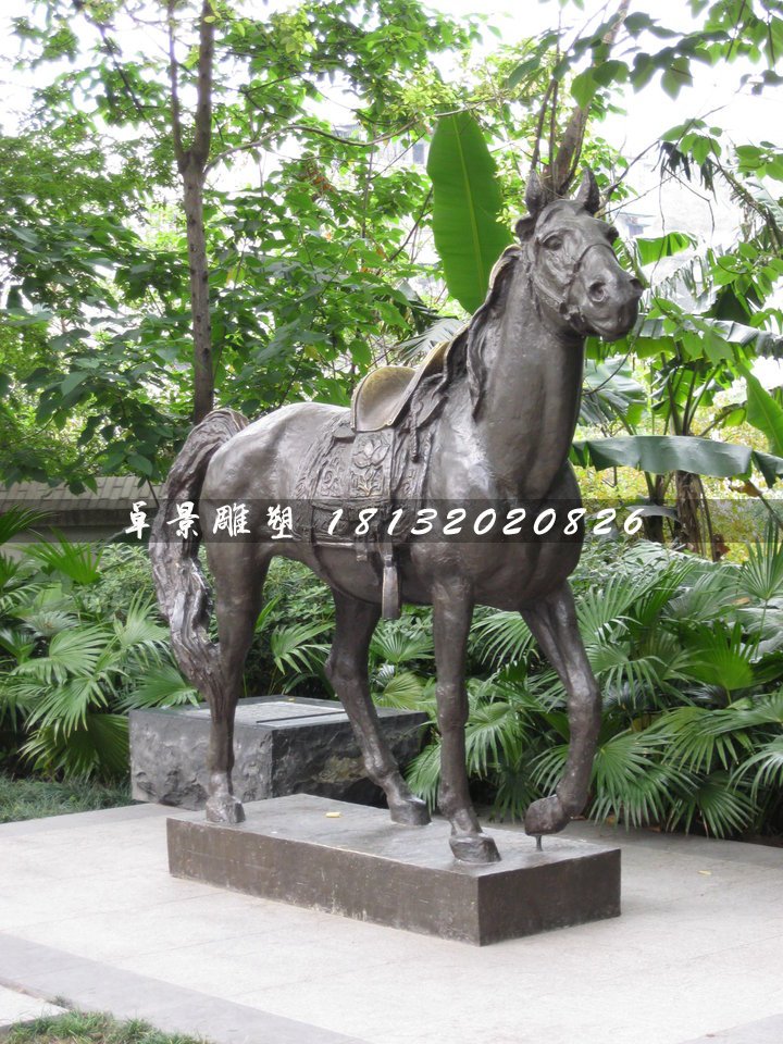 坐騎銅雕，公園銅馬雕塑 (2)