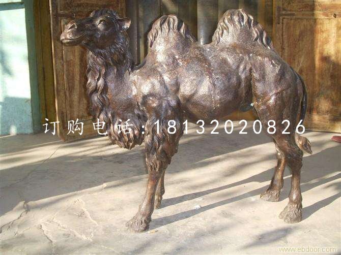 公園駱駝銅雕，動(dòng)物銅雕 (2)