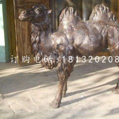 公園駱駝銅雕，動物銅雕