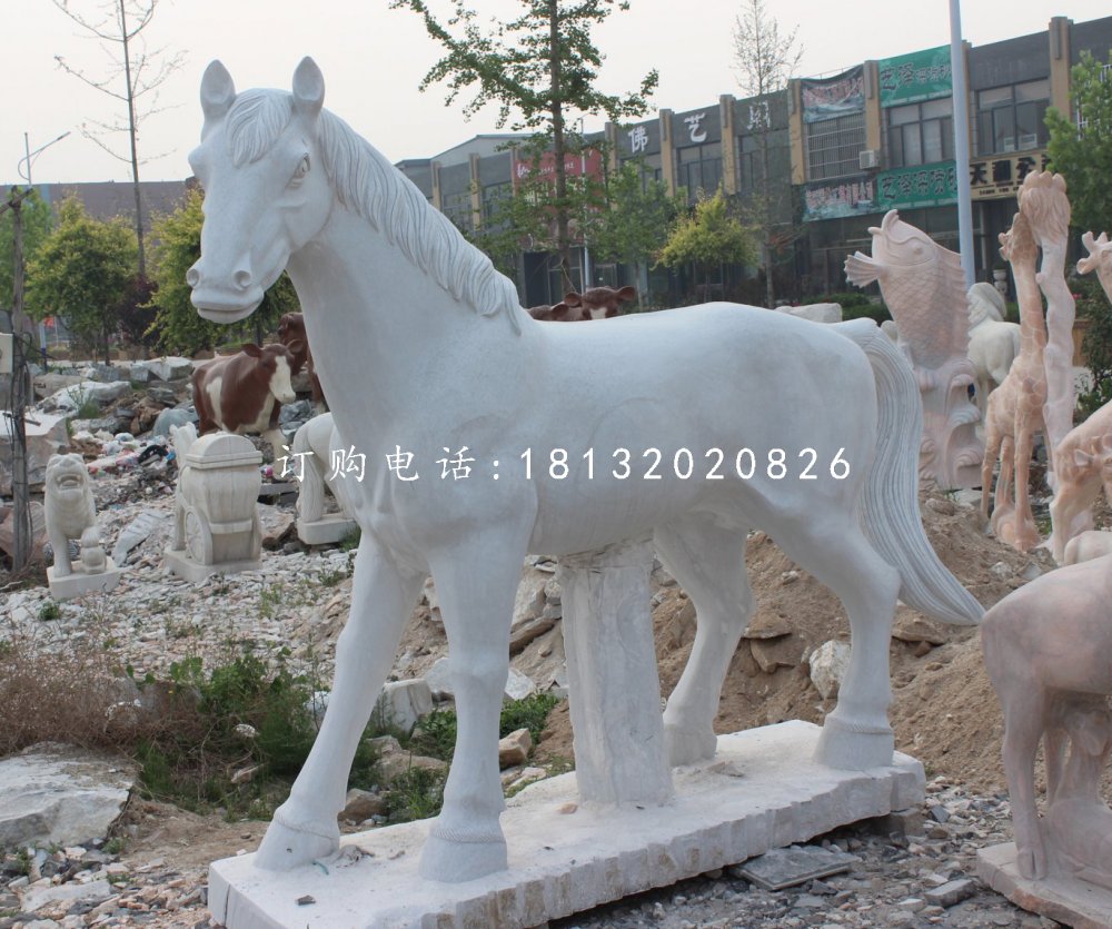 小馬駒石雕，漢白玉小馬駒石雕 (1)