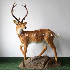 玻璃鋼梅花鹿，公園仿真動物