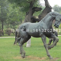 公園馬雕塑，銅雕馬