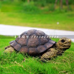 玻璃鋼烏龜?shù)袼埽抡鎰游锏袼? width=